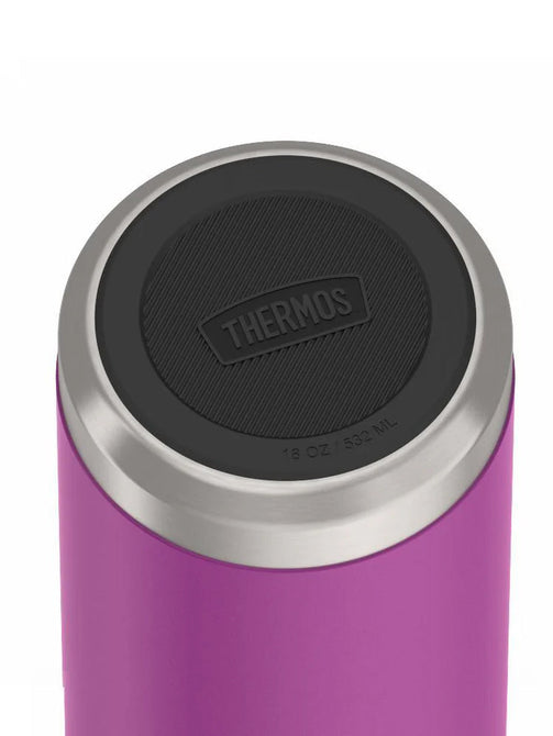 variant:41903165210701 Thermos 18 oz Stainless Steel Kids Water Bottle w/ Spout Lid Plum