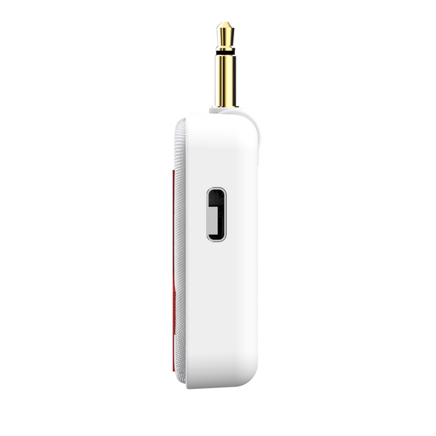 Wireless Audio Adapter (BT)